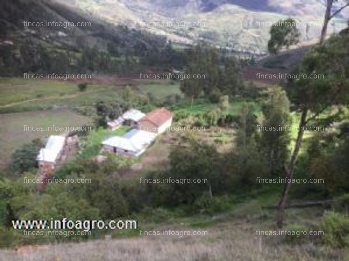 Fotos de En venta  terreno agrícola con riego, en curahuasi-abancay, 40 ha