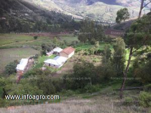 En venta  terreno agrícola con riego, en curahuasi-abancay, 40 ha