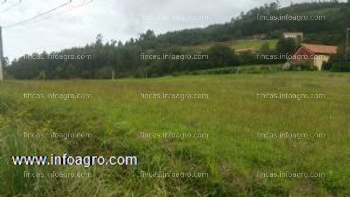 Fotos de En venta  hermosa finca en ambas (asturias)