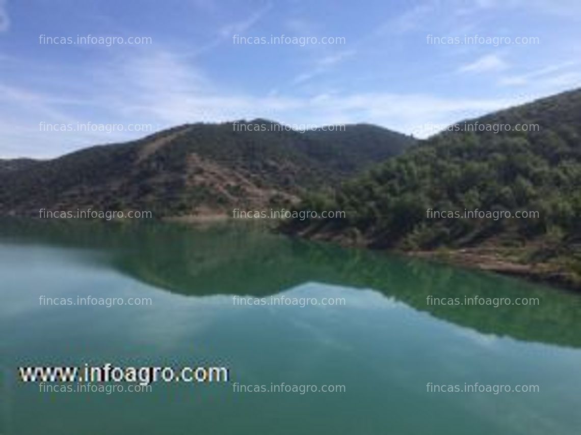 Fotos de Vendo coto de caza en benabarre (huesca)