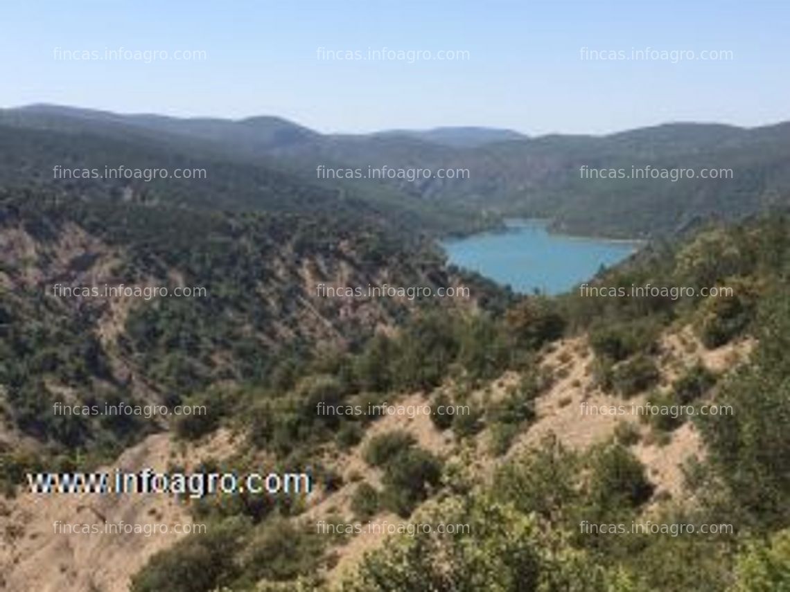 Fotos de Vendo coto de caza en benabarre (huesca)