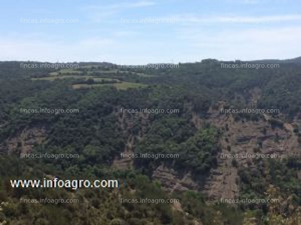 Fotos de Vendo coto de caza en benabarre (huesca)