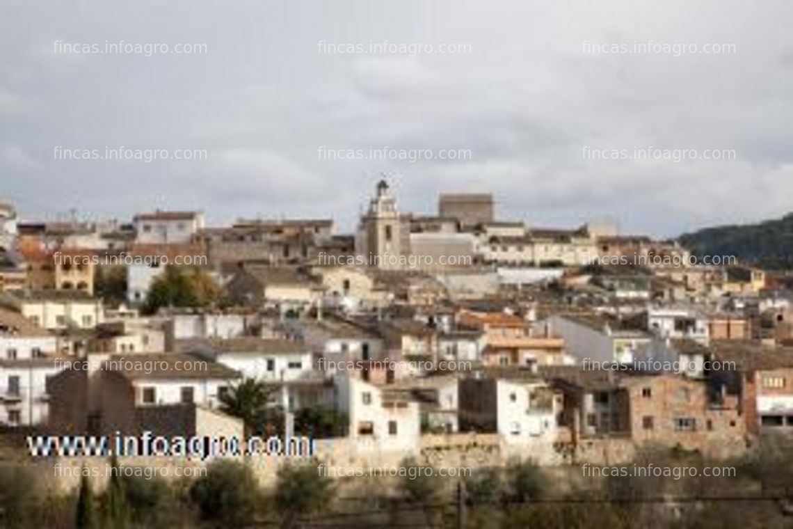 Fotos de A la venta terreno rustico en torremanzanas junto al pueblo