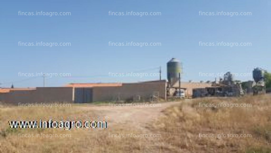 Fotos de En venta  vender granja de conejos fuenterrobles valencia