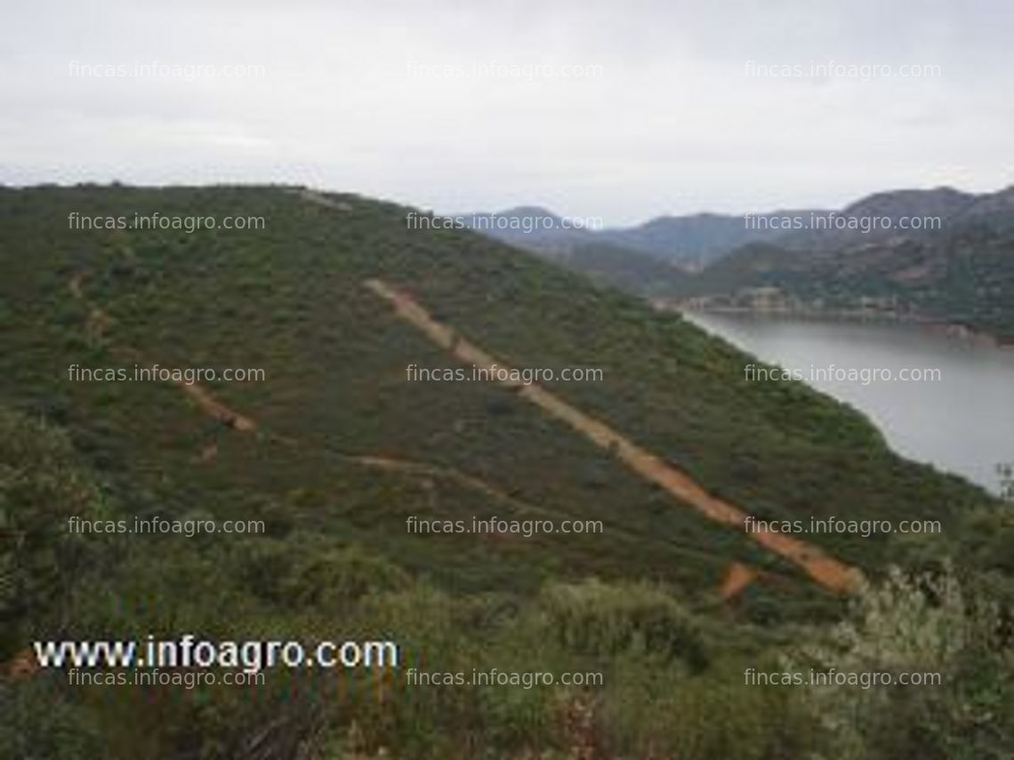 Fotos de A la venta finca rústica de caza, capilla (badajoz)