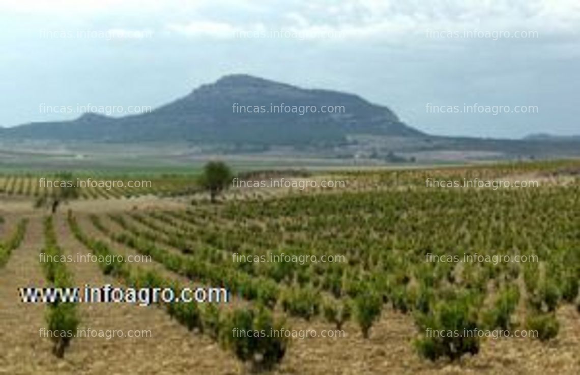 Fotos de Se vende terreno en yecla, murcia