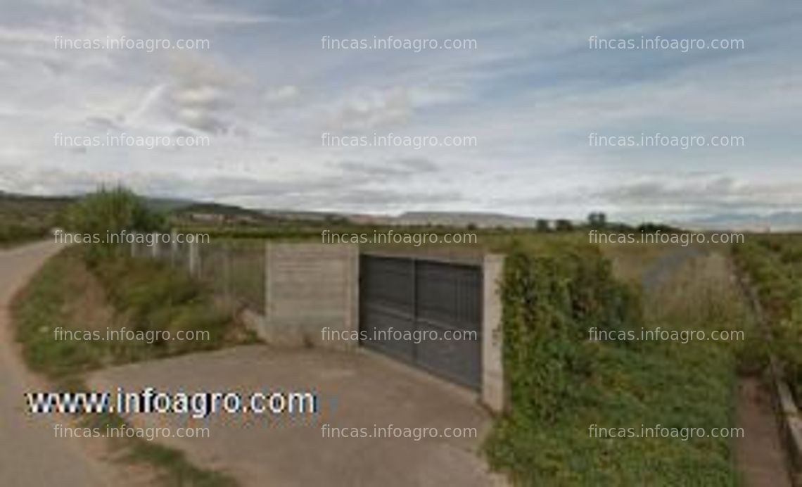 Fotos de En venta  finca de regadío en entrena (la rioja): 38.000€ negociables (urge venta)