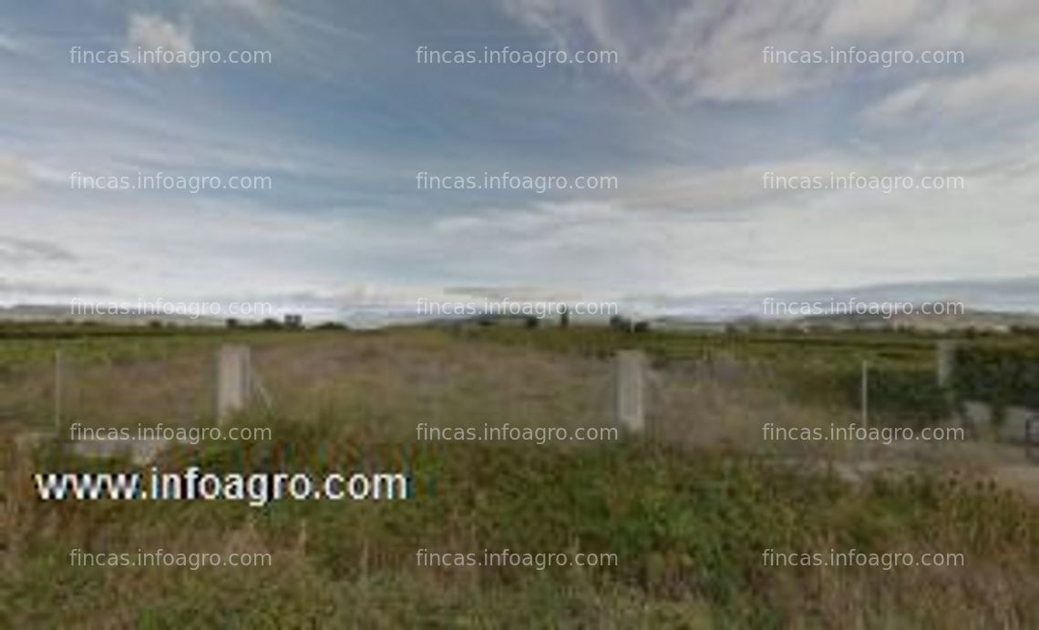 Fotos de En venta  finca de regadío en entrena (la rioja): 38.000€ negociables (urge venta)