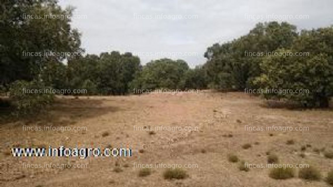 Fotos de En venta  finca rustica 3000m2