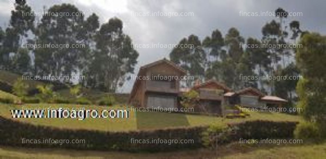 Fotos de Vendo inversión en rionegro, parcelación sajonia: finca beneficiada en gran valorización por el túnel de oriente. rionegro, colombia.