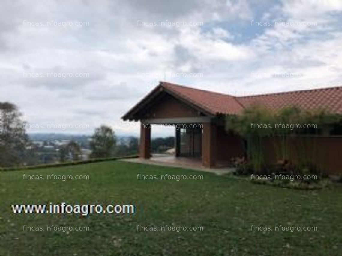 Fotos de Vendo inversión en rionegro, parcelación sajonia: finca beneficiada en gran valorización por el túnel de oriente. rionegro, colombia.