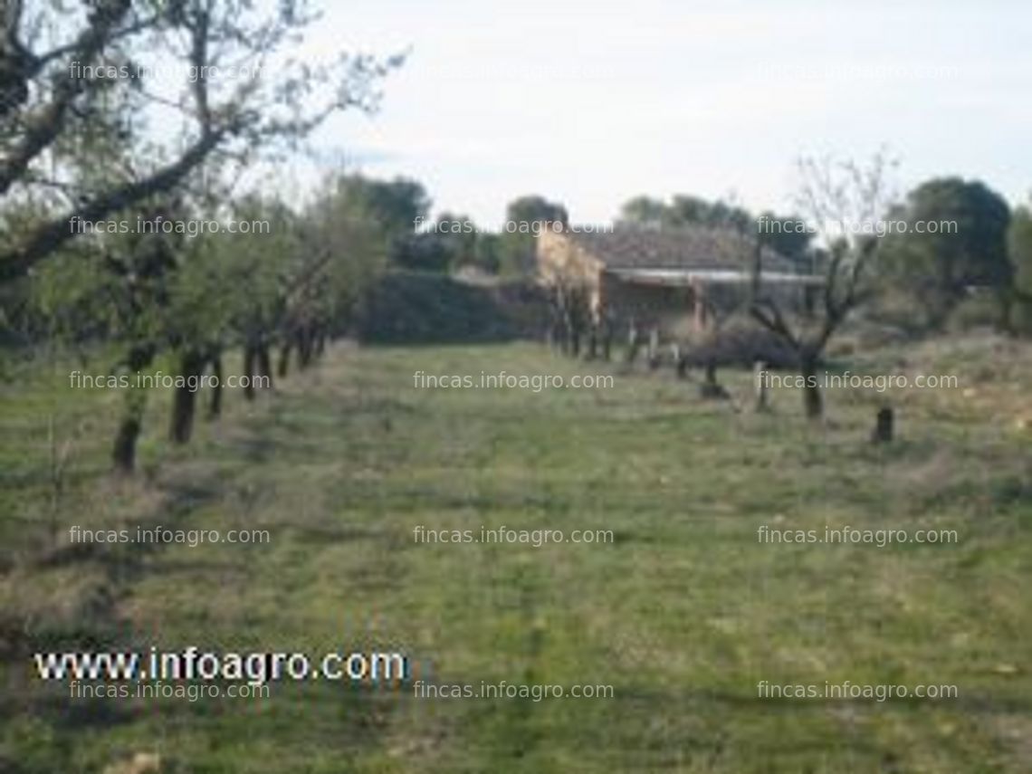 Fotos de Vendo bonita finca en maella (zaragoza) de almendros .