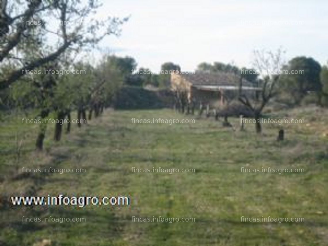 Fotos de Vendo bonita finca en maella (zaragoza) de almendros .