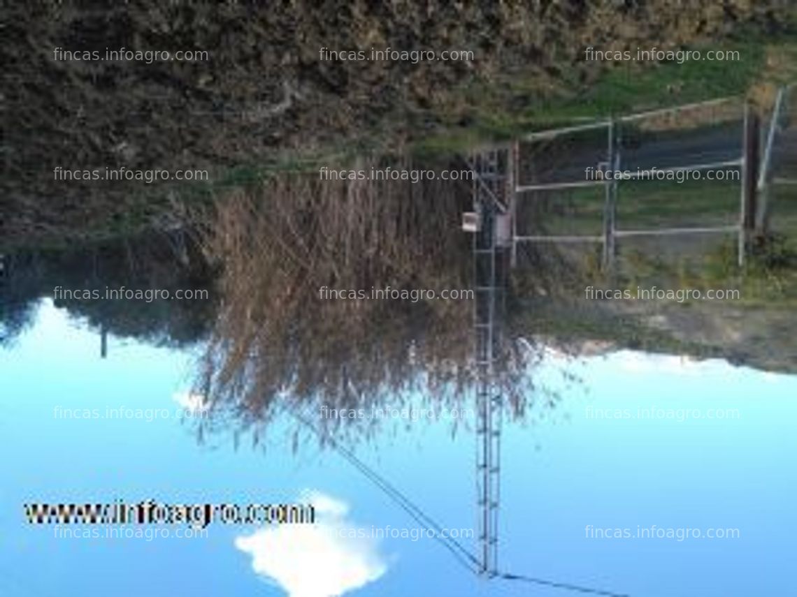 Fotos de Se vende parcela rural de 3800m2 en estación de cártama, málaga