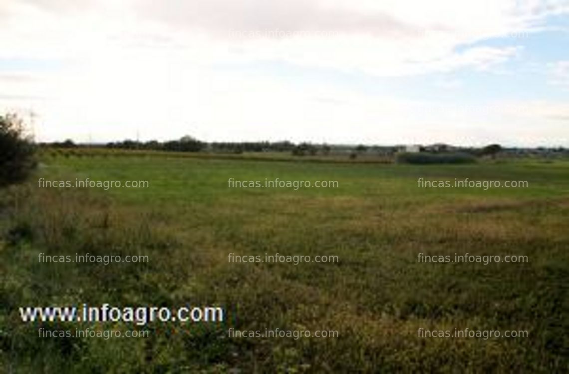 Fotos de Se vende campo rústico de regadio