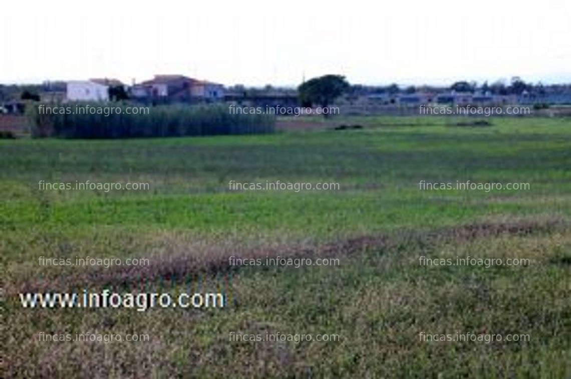 Fotos de Se vende campo rústico de regadio