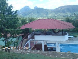 En venta   hermosas finca 40 hectareas ideal para  actividad agroturistica