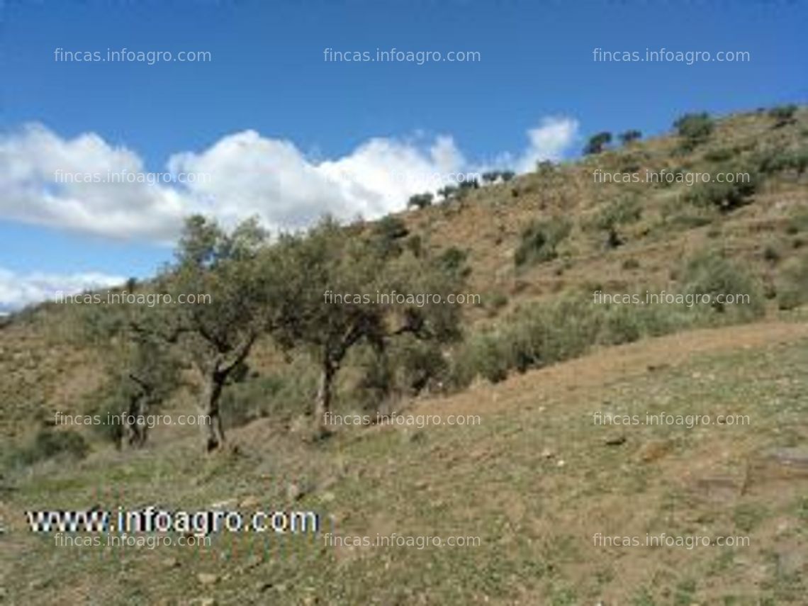 Fotos de Se vende finca para tropicales.