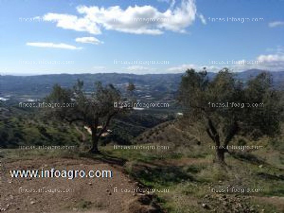 Fotos de Se vende finca para tropicales.