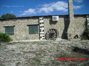 En venta finca rustica en alcala de los gazules