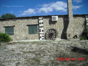 En venta  finca rustica en alcala de los gazules