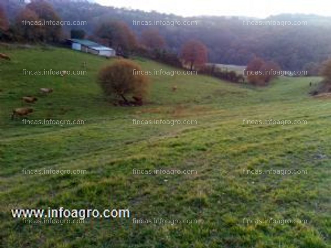 Fotos de En venta  finca rústica, gran oportunidad de inversión