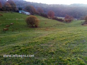 En venta finca rústica, gran oportunidad de inversión