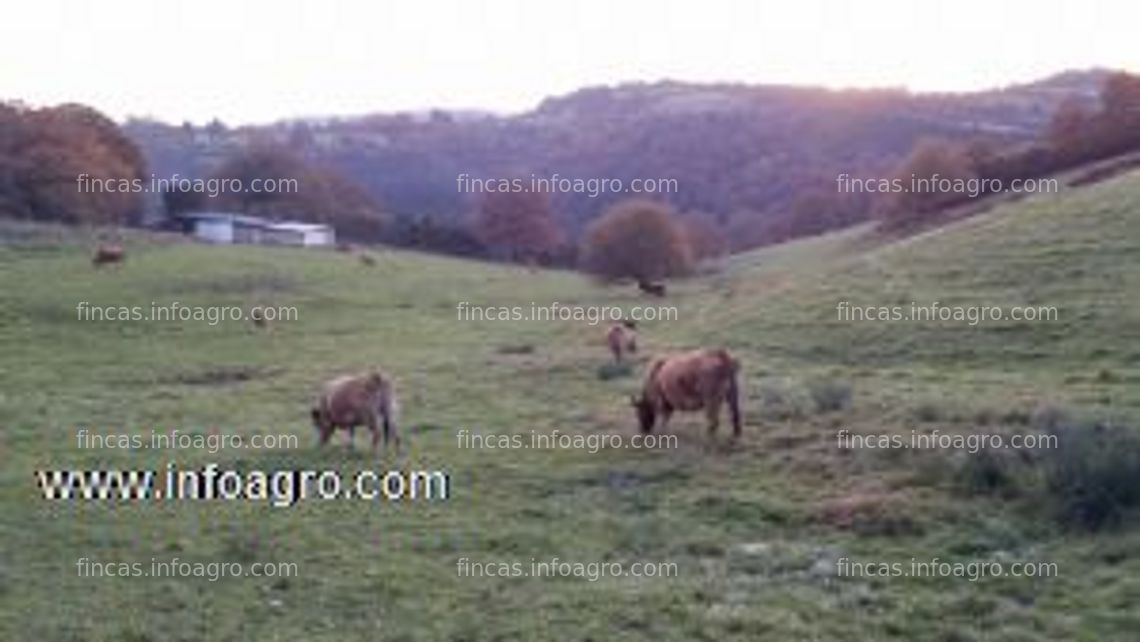 Fotos de En venta  finca rústica, gran oportunidad de inversión