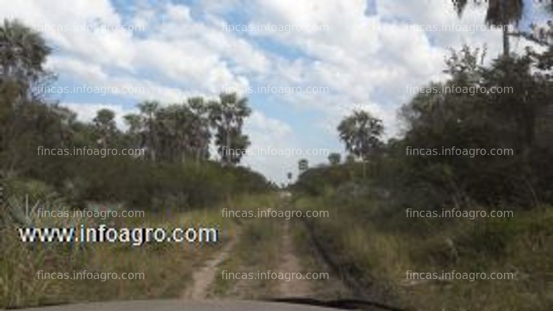 Fotos de En venta  &#8206;2012 – ha zona de sal alfredo – dpto concepcion paraguay