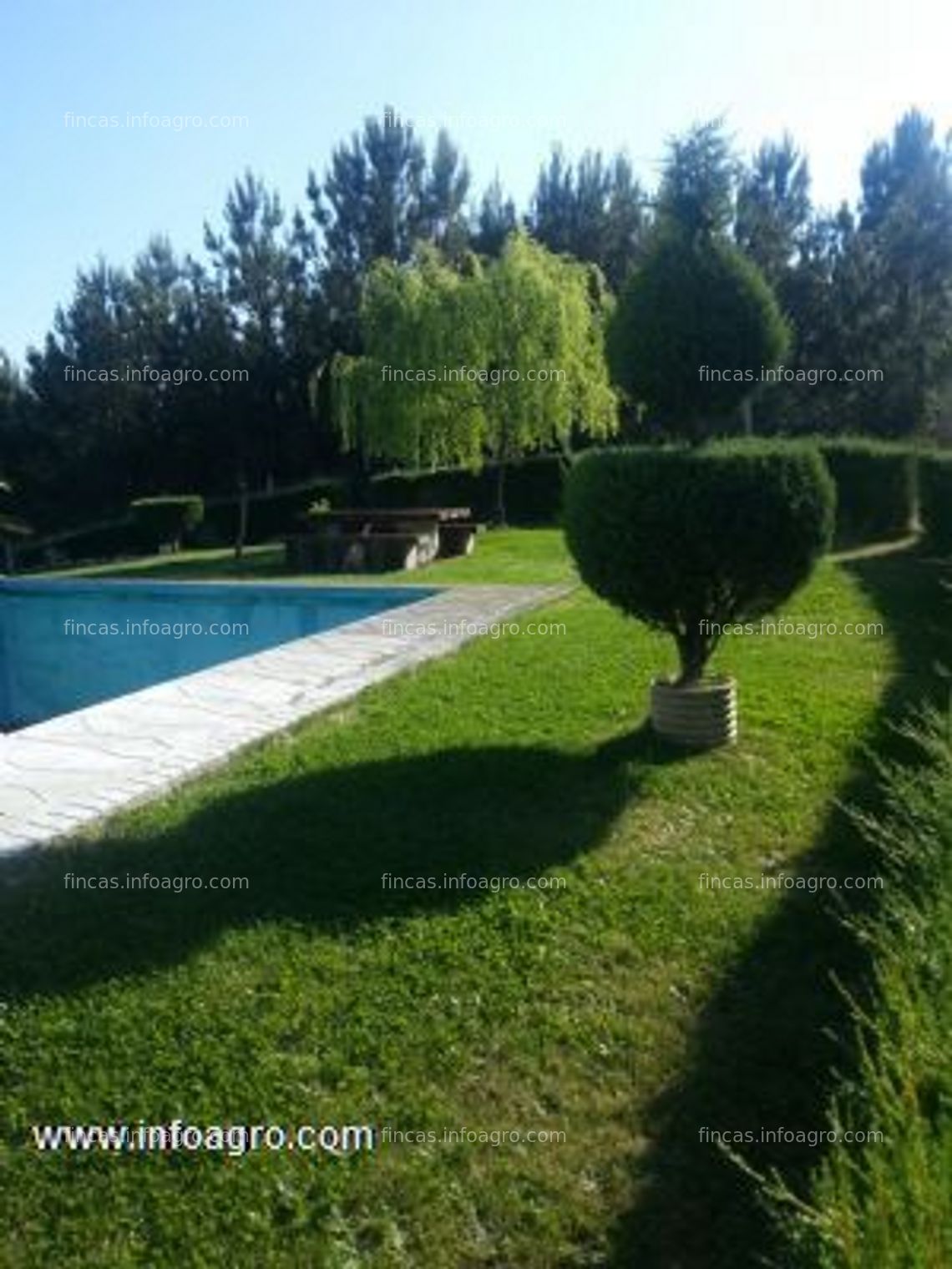 Fotos de Vendo de finca rustica con vivienda