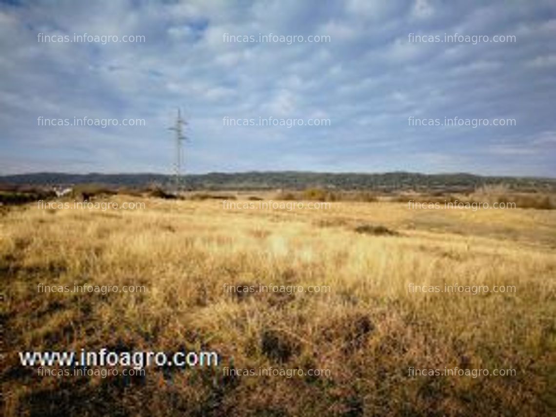 Fotos de A la venta finca rústica en carcaboso