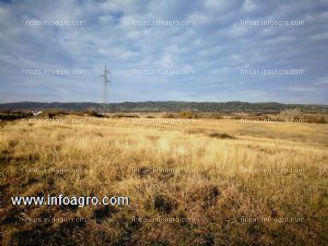 Fotos de A la venta finca rústica en carcaboso