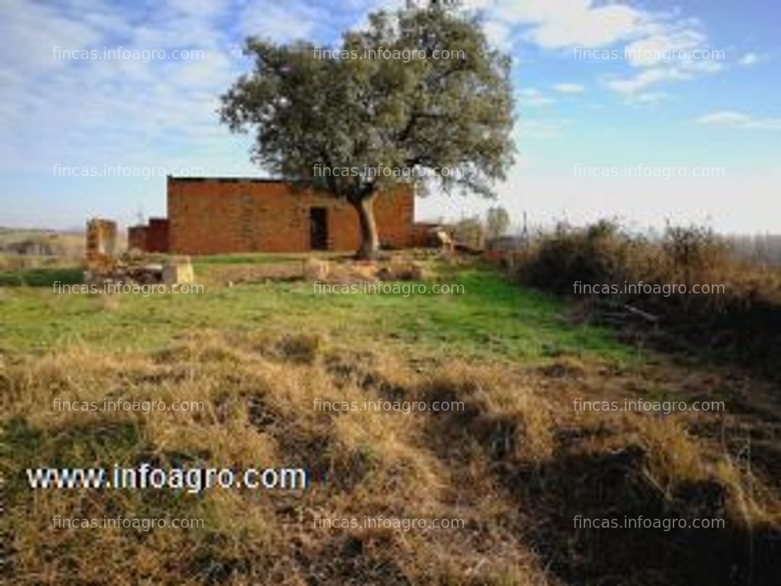 Fotos de A la venta finca rústica en carcaboso