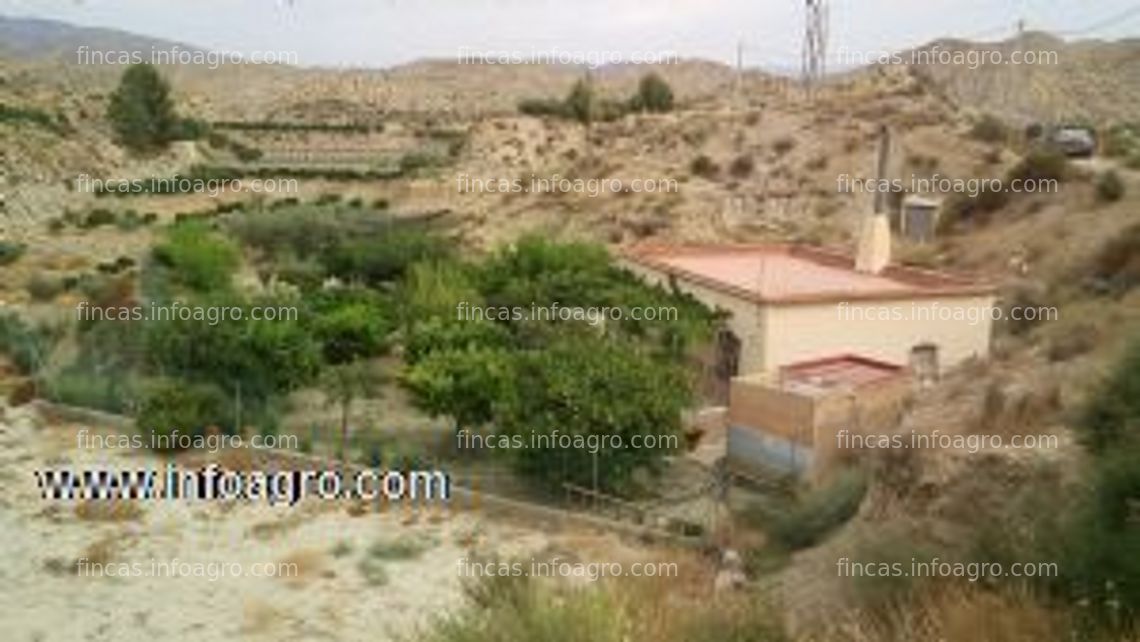 Fotos de En venta  cortijo en terque, almería