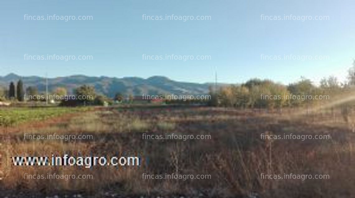 Fotos de Se vende tierra de regadío de 3000m2