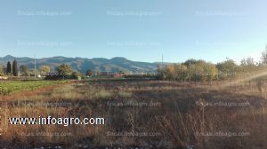 Se vende tierra de regadío de 3000m2