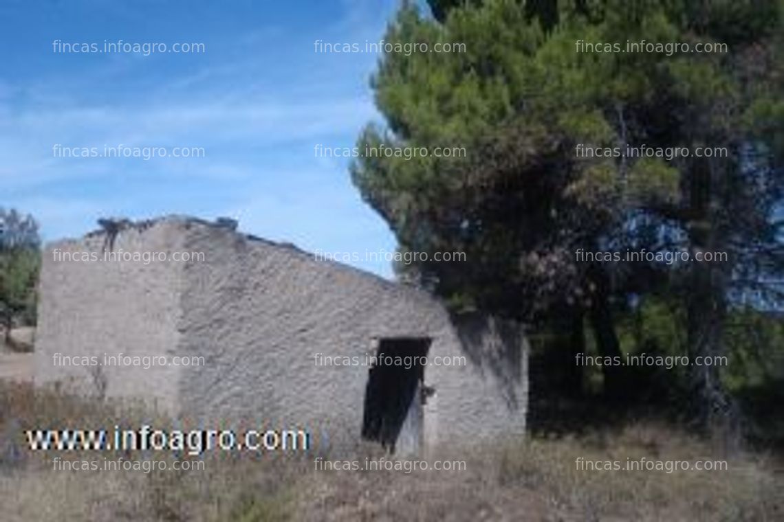 Fotos de Se vende de finca en lledo( teruel) comarca matarraña,de 77965m2,con almendros y olivos masia buenas vistas