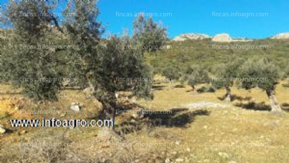 Fotos de Se vende finca en zona de hornachos (badajoz)