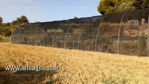 Vendo  tunel de sombreado en monserrat-valencia