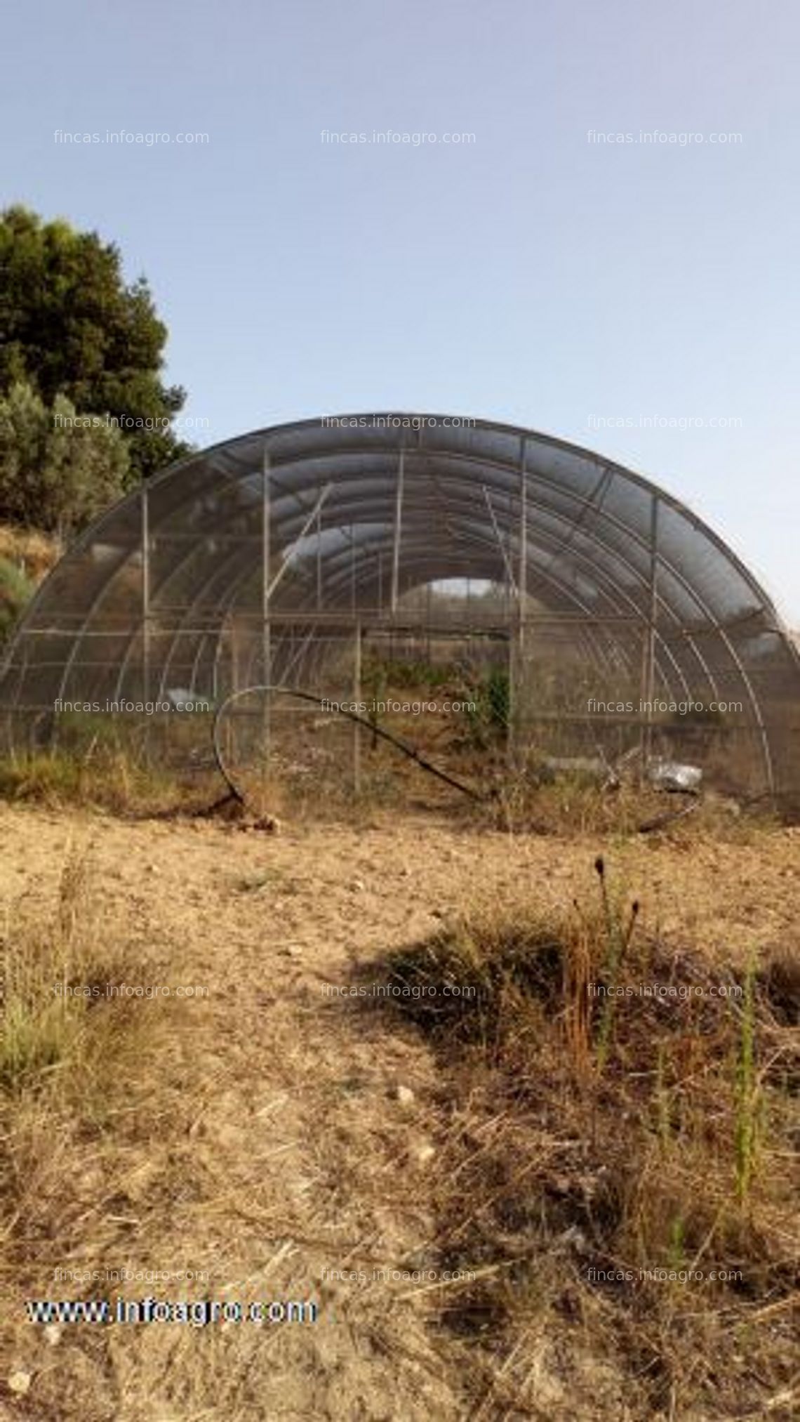 Fotos de Vendo  tunel de sombreado en monserrat-valencia