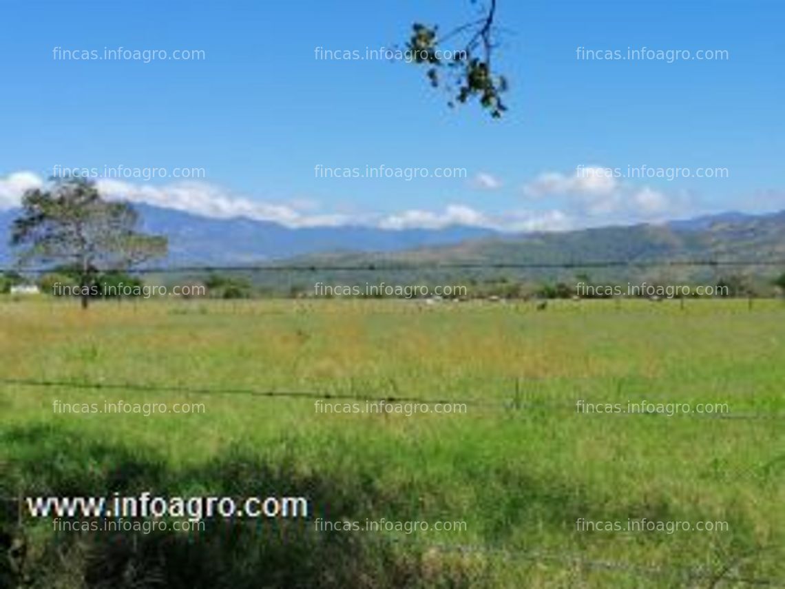 Fotos de Se vende finca ganadera en panama