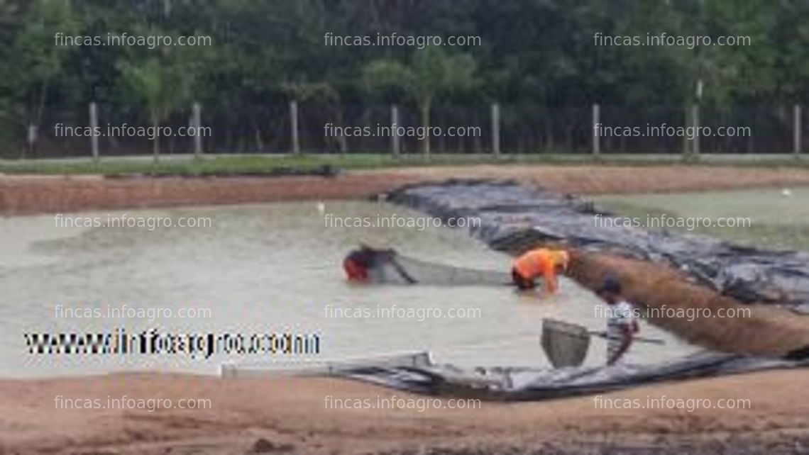 Fotos de A la venta granja agroacuicola en panama de 6 ha