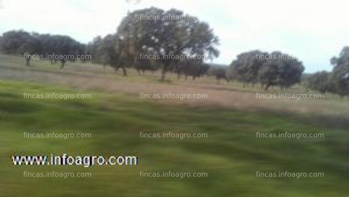 Fotos de En venta  finca de dehesaganadera