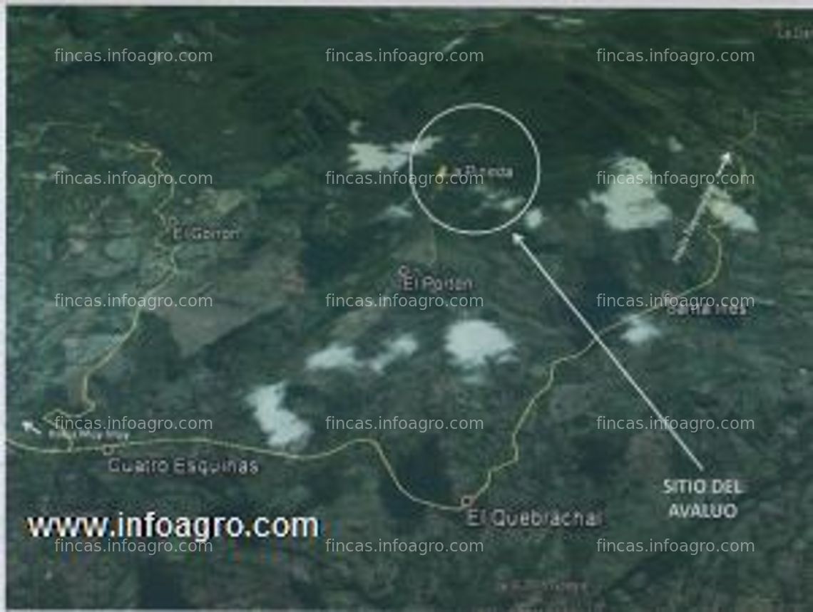 Fotos de A la venta extensa finca en matagalpa nicaragua