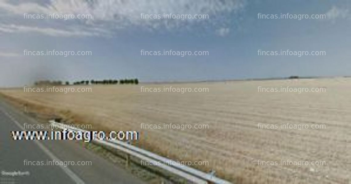 Fotos de A la venta rustica de 14,79 hectareas de secano con pozo