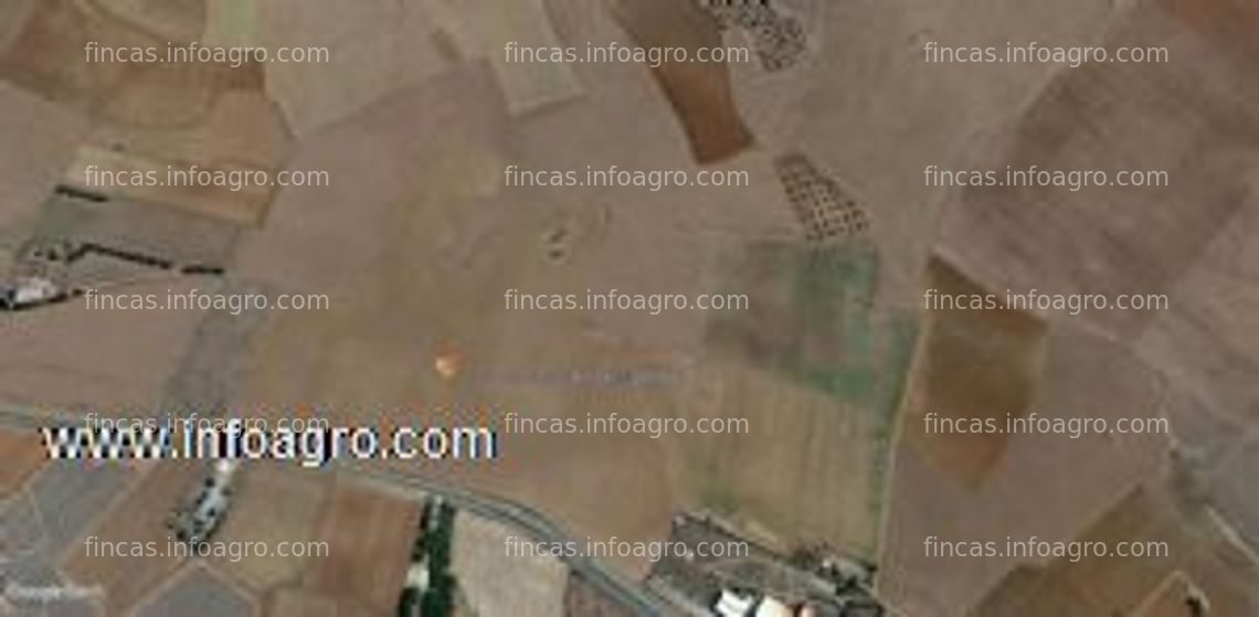 Fotos de A la venta rustica de 14,79 hectareas de secano con pozo