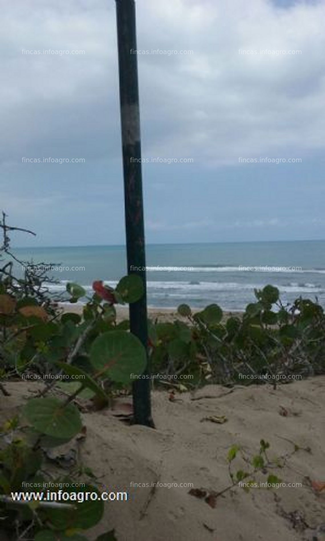 Fotos de Vendo terreno con playa,golfo de méxico