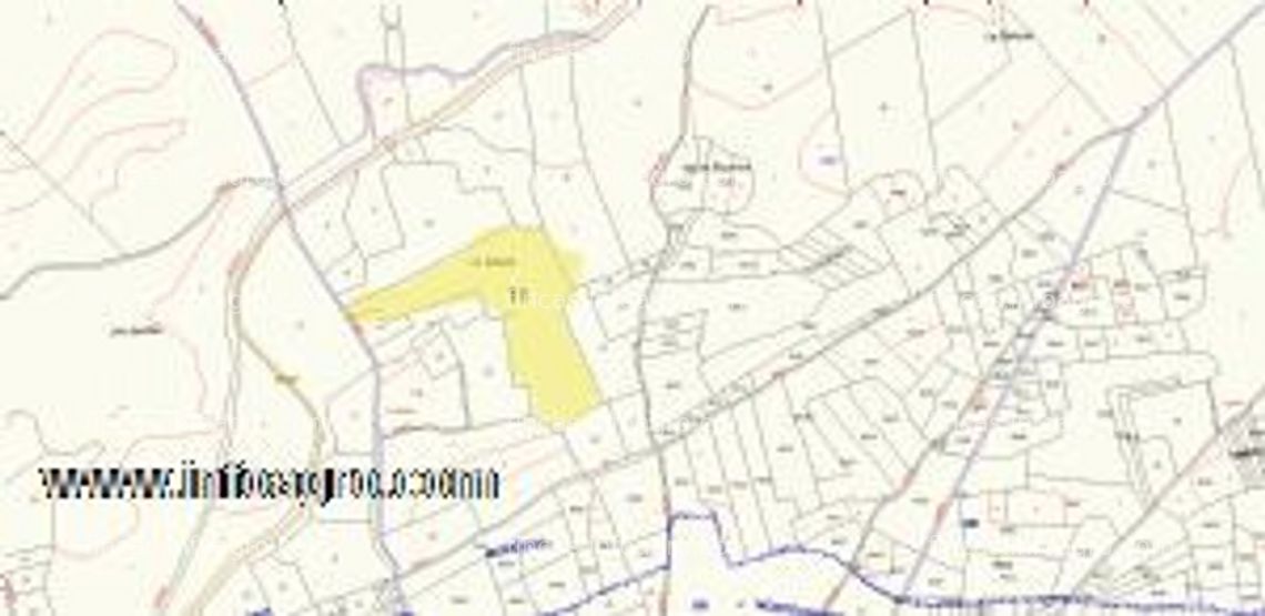 Fotos de A la venta terrerno de olivos y higueras 40851 m2