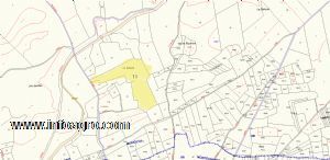 A la venta terrerno de olivos y higueras 40851 m2
