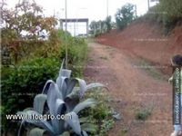 Fotos de Se vende inmobiliaria dumont vende finca agricola en santo domingo la grita edo.tachira venezuela.pequeñ